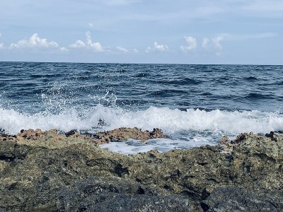 海洋