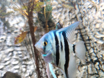 水族馆