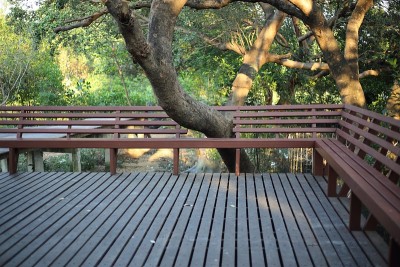 木椅和红树林