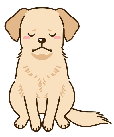 悲伤的拉布拉多寻回犬(黄色)