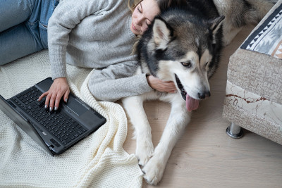 白种女人和雪橇犬在笔记本电脑上工作