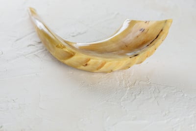 白色背景上的羊角号。