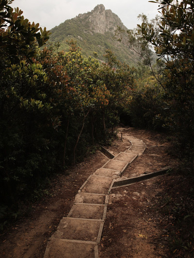 山顶径
