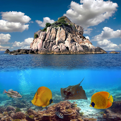 水下热带海景
