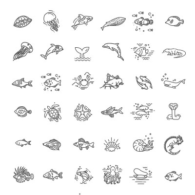 动物的概念。海洋及海洋生物