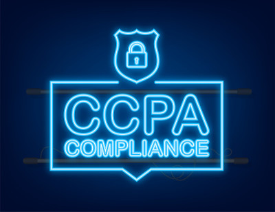 Ccpa，任何用途的伟大设计。neonicon安全向量。网站信息。网络安全。数据保护