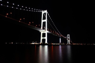 美丽的天鹅桥