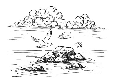 海景。风景，大海，岩石，海鸥。手绘插图转换为矢量。