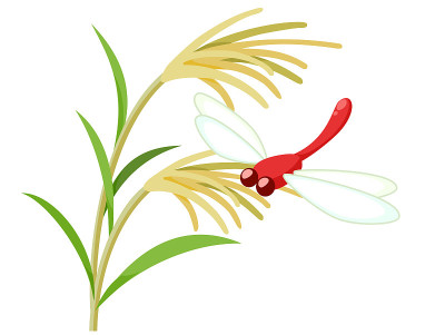 芒草和红蜻蜓。日本秋天传统图标插图，矢量图像