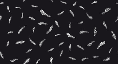 白色背景上的羽毛。手绘素描风格。