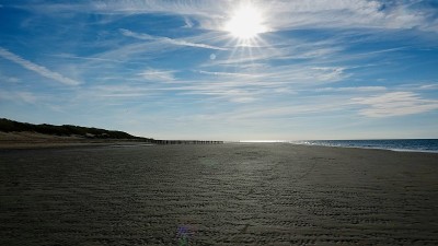 海滩上的木制防波堤