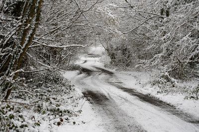 威尔特郡的雪路