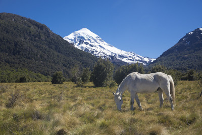 Volcan Lanin