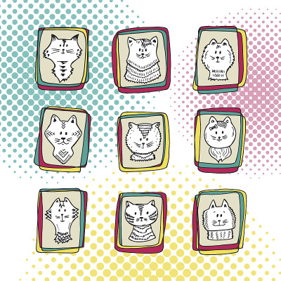 宠物。小猫脸图标。在框架中手绘的猫的涂鸦肖像-向量集