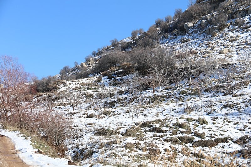 黎巴嫩山上的雪