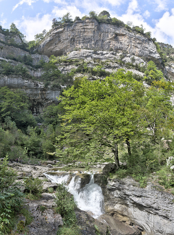 西班牙阿拉贡地区Cañon de Añisclo山谷的里约热内卢Bellos峡谷森林中的瀑布和急流覆