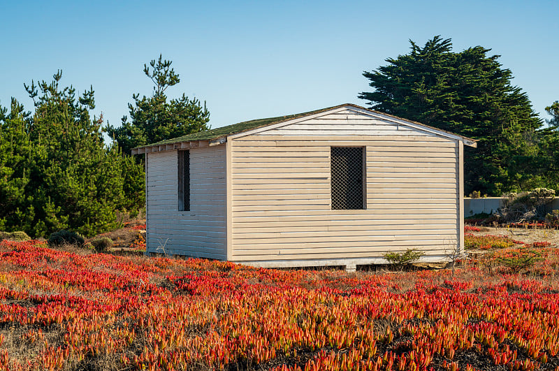 Fort Ord Dunes州立公园位于蒙特利海岸