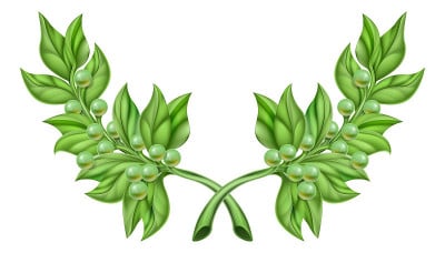 橄榄枝花环