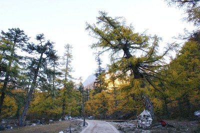 美丽的山景