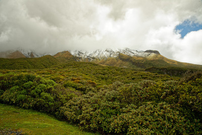 塔拉纳基火山，位于新西兰北岛
