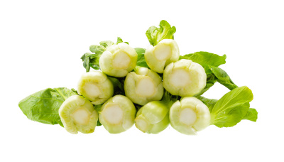 绿色的白菜