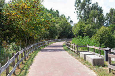 行人和自行车生态道，沥青路面，石凳，背景和植被