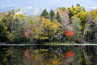 知子五湖(知子五湖)秋叶，知子，北海道，日本