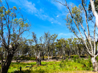 Echuca,维多利亚,澳大利亚