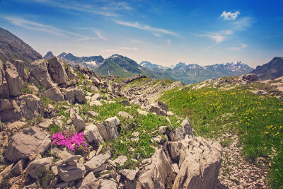 Vorarlberg的山脉景观