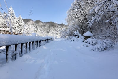 白雪皑皑的冬天，森林道路和蓝天。(韩国江原道御田山国家公园)