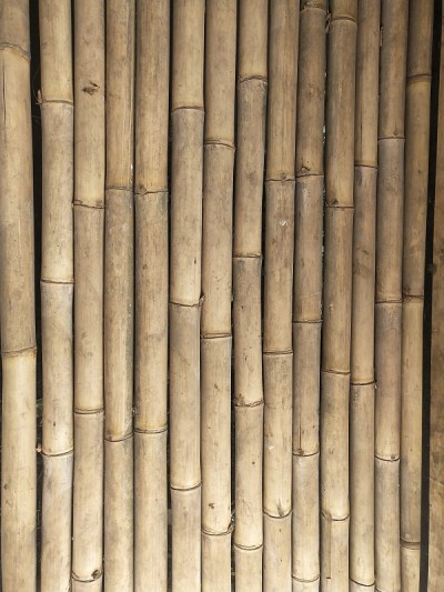 竹基地