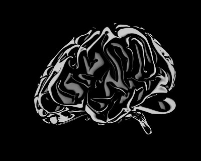 人脑的静物渲染