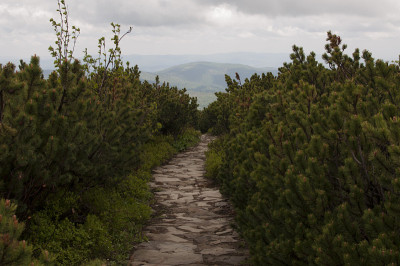 登山径