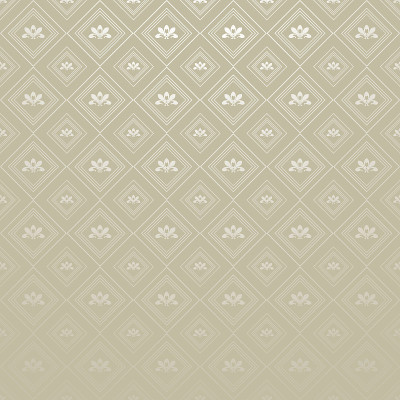 壁纸背景银