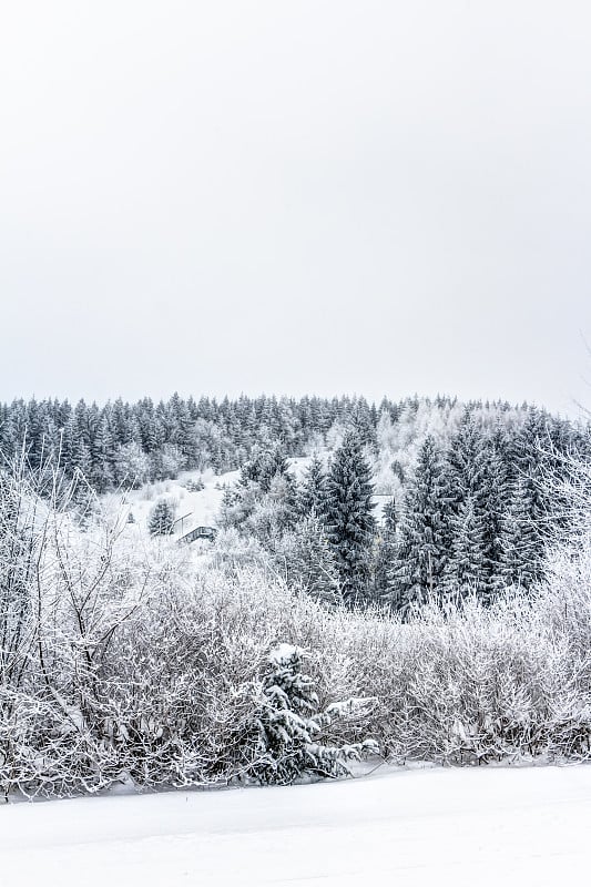 高原上的雪山景观