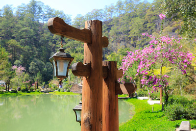 小湖灯