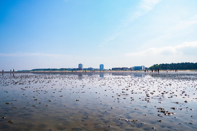 北海的瓦登海，海滩和酒店的背景在萨伦堡，库克斯海文