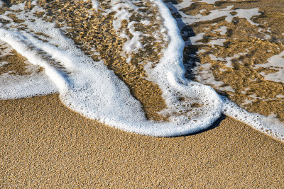 海