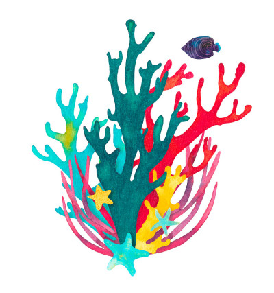 珊瑚礁水彩插图组成。手绘水下海洋生物装饰设计。美丽明亮的珊瑚，鱼，海星，海藻，海洋生物在白色的背景