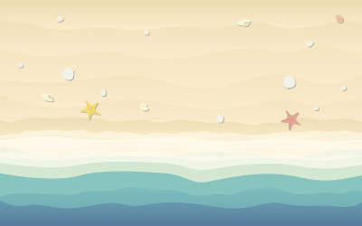 海滩上的贝壳和海星俯视图