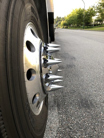 穗轮坚果