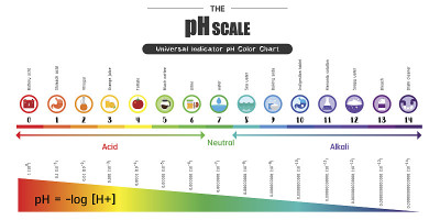 pH标度通用指示剂pH色图