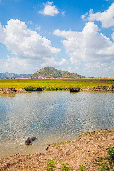 越南湄公河三角洲景色