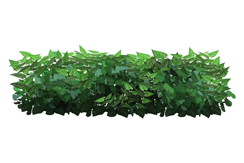 网络
