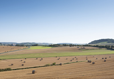 法国北部cap and marais d'opale区域公园的玉米地和草地景观