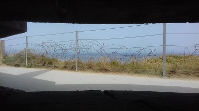 特设点