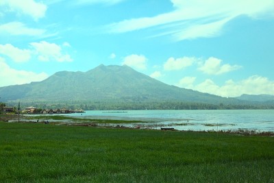 山地和稻田