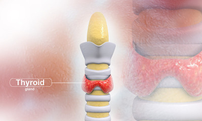 甲状腺