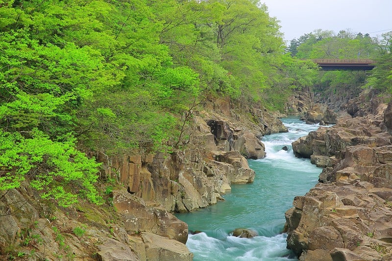 岩手县夏季山溪