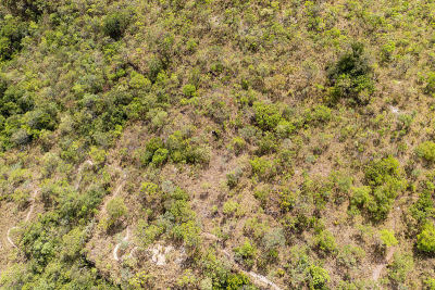 veadeiros的Chapada dos veadeiros